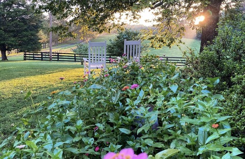 Ridge House | Stay on Working Farm in Central VA Wine Region, 35 Minutes from UVA.