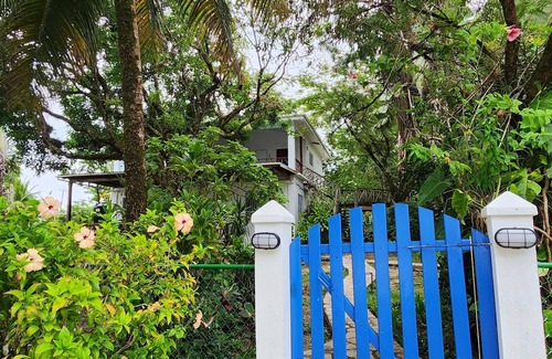 Forest Home Apartment | Stay, relax and explore in Seastar, our tropical oasis by the Caribbean Sea.n