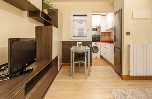 Santutxu Apartment | Stay urban apartment with wifi