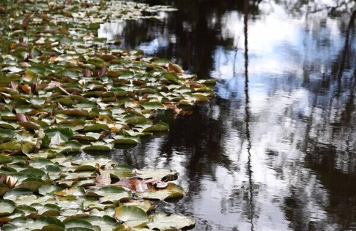 Badger Creek Cabin | StayAU 2BR Serene Lakeside Haven