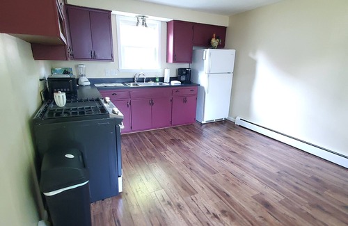 Auburn Apartment | Steel Hideaway, first floor easy access, king bed, fenced yard, fast wifi