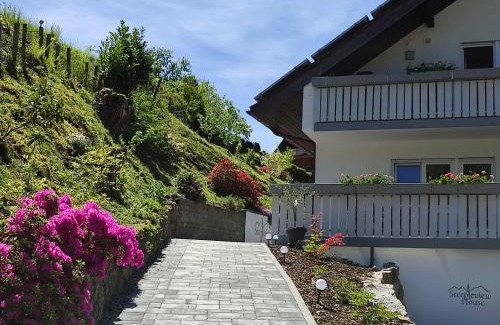 Bad Peterstal-Griesbach Apartment | Steepleview House, Schwarzwaldblick Apartment - spacious & peaceful