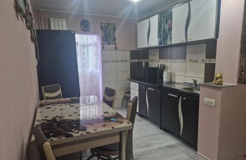 Calimanesti Apartment | Stefan
