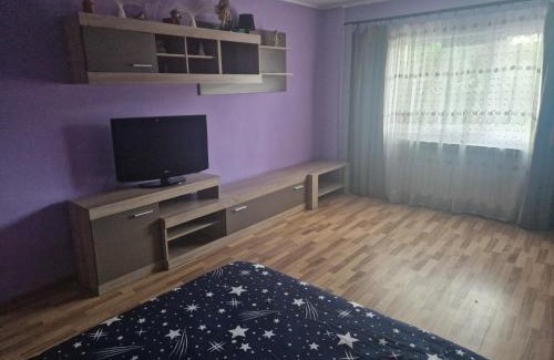 Calimanesti Apartment | Stefan