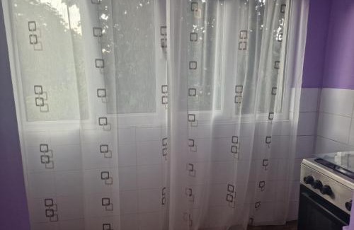 Calimanesti Apartment | Stefan