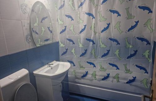 Calimanesti Apartment | Stefan
