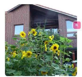 Bemerode House | Steffi