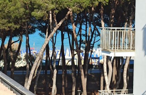 Alba Adriatica Apartment | stefy bilo fronte mare