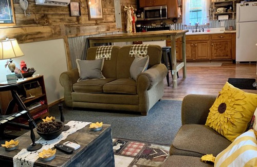 Cool Ridge Cabin | Step back in time with this unique cozy cabin by the creek.