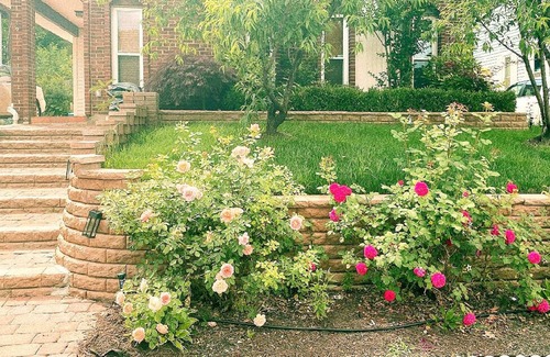 Sterling House | Sterling 4BR- Sleep 8 Private backyard 10 Min to IAD.