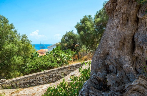 Gaios Apartment | Sterna Studio: Inside Gaios Paxos, close to all amenities
