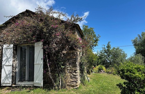 Cervione House | Stone casetta 3km from the sea near the port of taverna and moriani beach