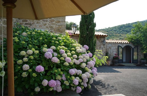 Cognocoli-Monticchi House | Stone house in an olive grove 15 minutes from the beach