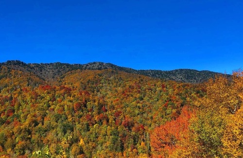 Candler RV Rental | Stoney Creek Oasis Tent Sites and Glamping Yurts