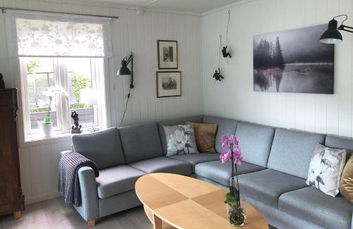 Vossevangen Apartment | Store Ringheim Apartment - Villa Solberg