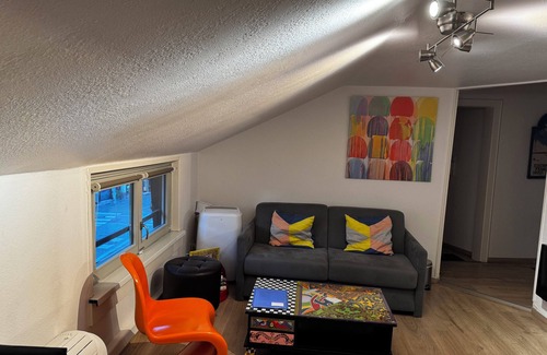 Petite-France Apartment | STRASBOURG Centre Beau F3 Petite France Centre historique 3* with parking included