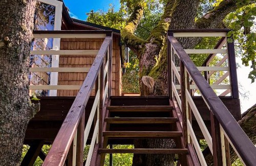 Ogre Municipality House | Strazdu Ligzda Off grid treehouse