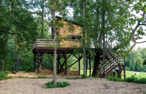 Ogre Municipality House | Strazdu Ligzda Off grid treehouse