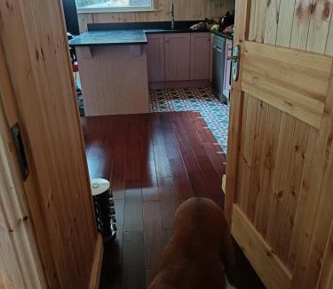 Glen of Aherlow Ski Chalet | Stream-side cabin and sauna