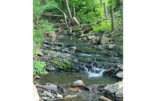 Mattawana Apartment | Stream Side Getaway in Big Valley