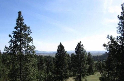Viola Apartment | Striking 620 sq. ft. private suite on the upper floor of an amazing modern log home.