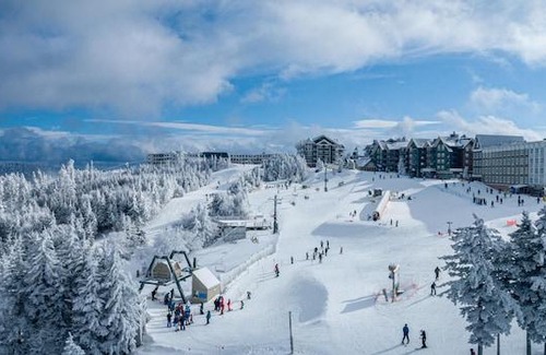 Snowshoe House | Stroll to Slopes, Village Area, Ski in-out MtLodge 157