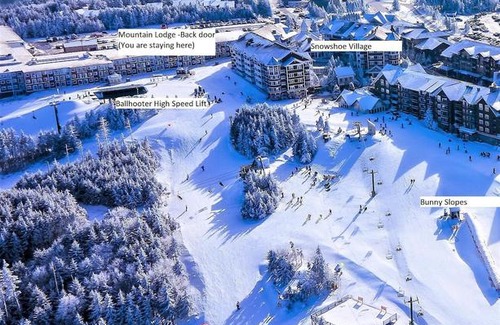 Snowshoe House | Stroll to Slopes, Village Area, Ski in-out MtLodge 157