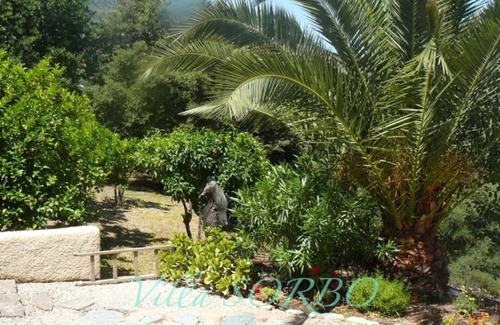 Santa-Reparata-di-Balagna Apartment | Studio in the Villa Sorbo