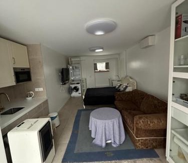 Vilnius city municipality Apartment | Studija Balsiuose