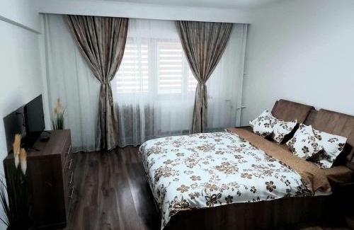 Calimanesti Apartment | Studio Ștefan