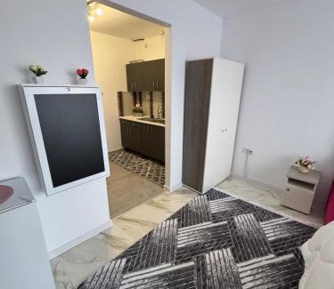 Falticeni Apartment | Studio 2