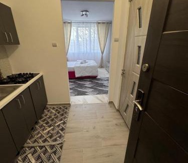 Falticeni Apartment | Studio 2