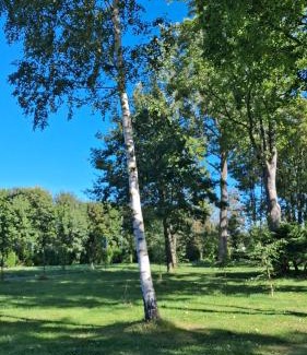 Cieplice Apartment | Studio 2 - Strefa Zen pokoje z klimatem przy parku