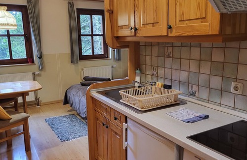 Ambroz pod Krvavcem Apartment | Studio Apartment on Krvavec ski resort with sauna