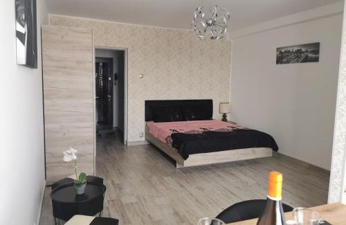 Drumul Taberei Apartment | Studio Alina&Marius