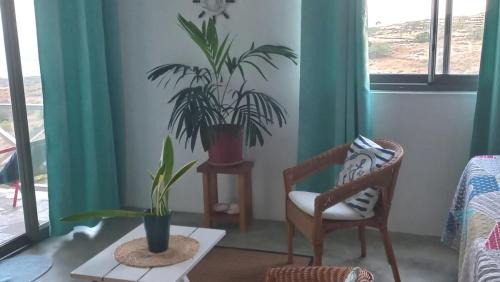 Coromandel House | Studio Amanda