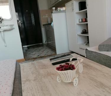 Zenica Apartment | Studio Apartman ZENICA