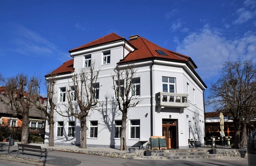 Brezice Apartment | Studio Apartment 8