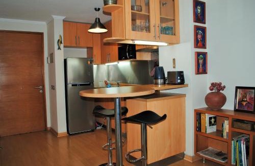 Santiago Apartment | Studio Apartment En Providencia