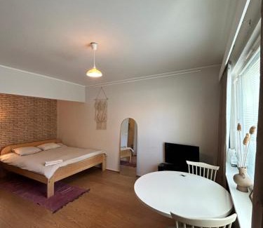 Jyvaskyla Apartment | Studio apartment near the center
