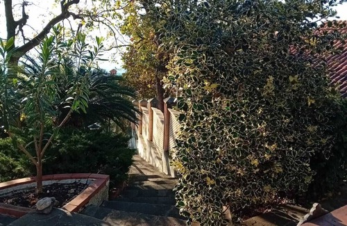 Marina di Maratea Apartment | Studio apartment surrounded by greenery in Marina di Maratea