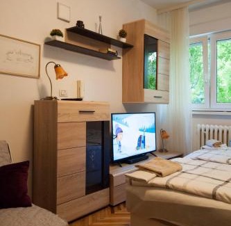 Osijek Apartment | Studio Apartment Vijenac
