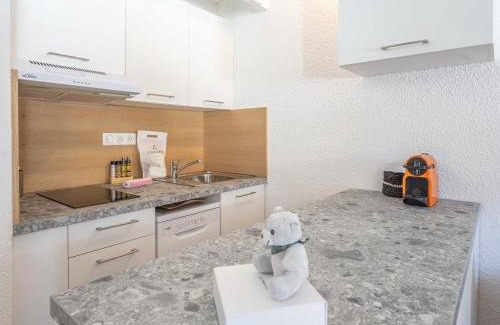 Eclose-Ouest Apartment | Studio avec mezzanine, retour skis aux pieds, proche remontée mécanique - FR-1-645-28