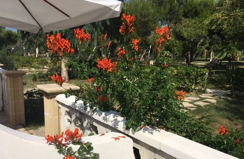 Chiesiola Apartment | Studio 'Baia Falcone-Comfort Studio 204' with sea view, Wi-Fi and air conditioning