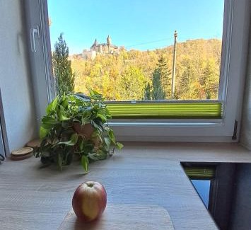 Wernigerode Apartment | Studio Blick zum Schloss Wernigerode