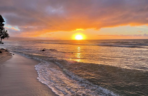 Ewa Beach Cottage | Studio by the ocean. Oceanfront property with WiFi, AC, parking, great location.