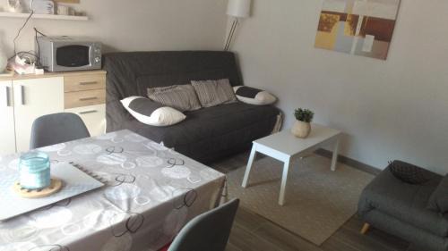 Les Carroz-d'Araches Apartment | Studio centre Carroz CA210