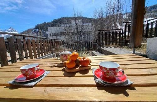 Pra Loup Apartment | Studio confortable avec terrasse à Pra Loup, proche pistes - FR-1-165A-70