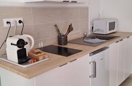 Castelnau-le-Lez Bed & Breakfast | Studio d'Hôtes les Libellules