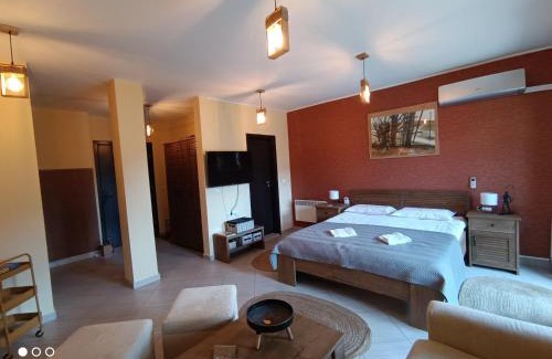 Shiligarnika Apartment | Studio D06, Green Life Bansko